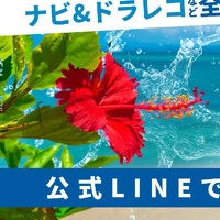 画像266