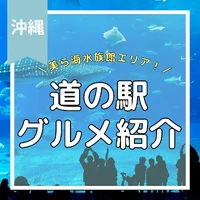 画像416