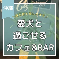 画像473