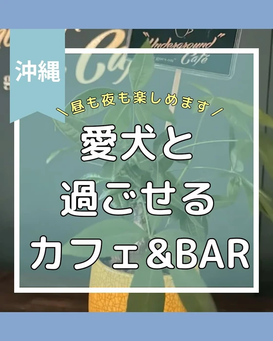 画像473