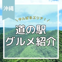画像498