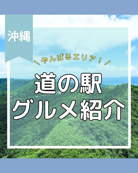 画像498