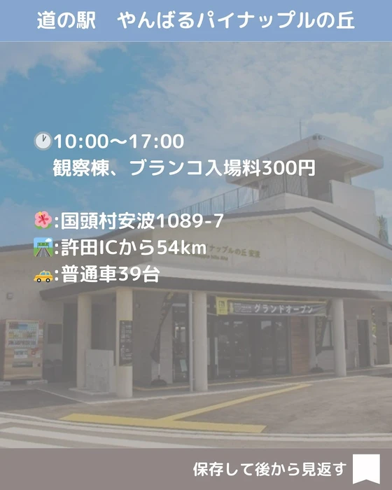 画像501