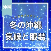 画像526