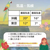 画像527
