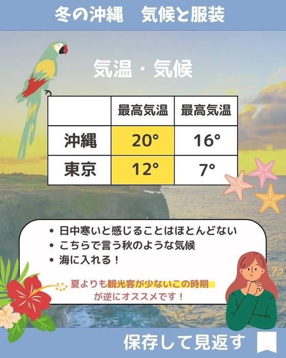 画像527
