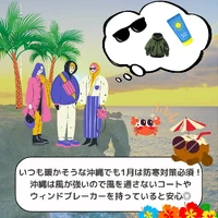 画像528