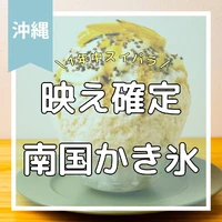 画像605