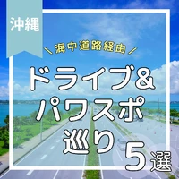 画像803