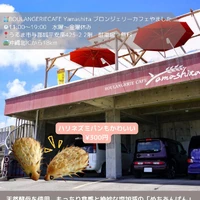 画像806