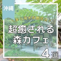 画像823