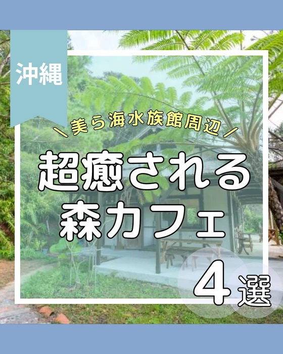画像823