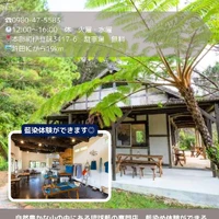 画像824