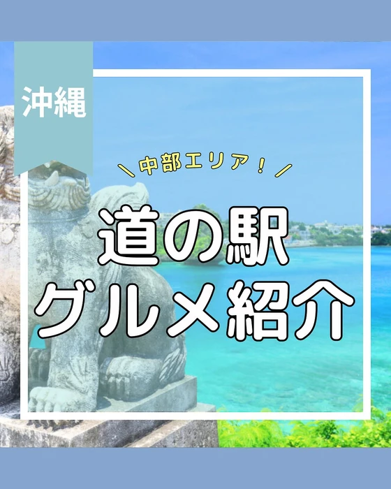画像839
